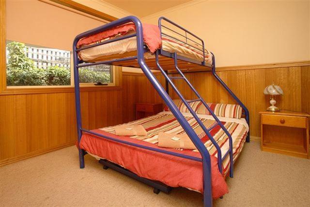 Apollo Bay Backpackers Lodge Номер фото